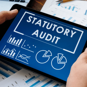 Statutory Audit