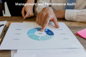Management & Performance Audit